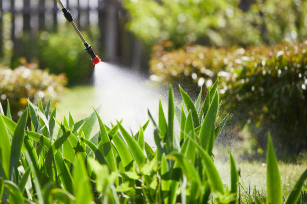 24/7 Emergency Cockroach Control experts in Bishopville, SC