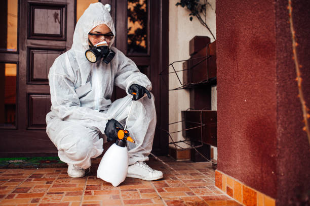 Reliable Cockroach Control contractor in Bishopville, SC by Nex Pest Control